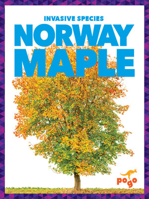 cover image of Norway Maple